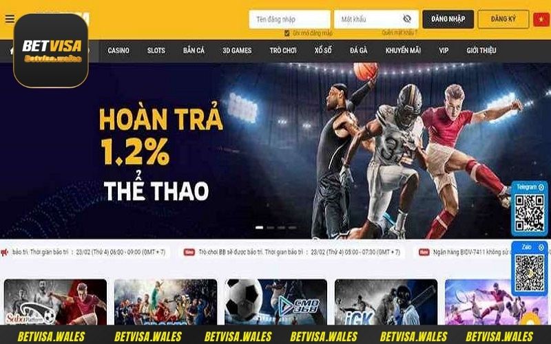 Sảnh Saba Sport BETVISA thu hút đông đảo người chơi nhờ ưu điểm vượt trội