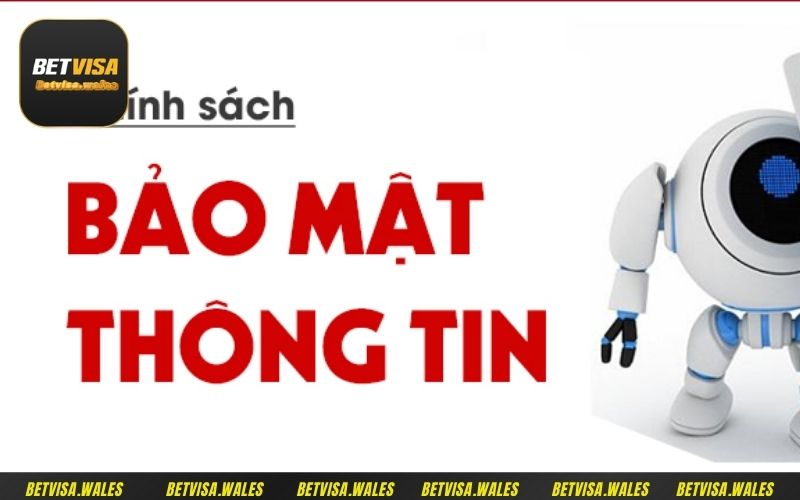 Betvisa cam kết xây dựng một hệ thống và văn hóa cá cược chất lượng