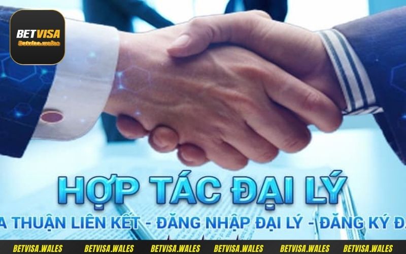 Cách để trở thành đối tác đại lý Betvisa siêu đơn giản