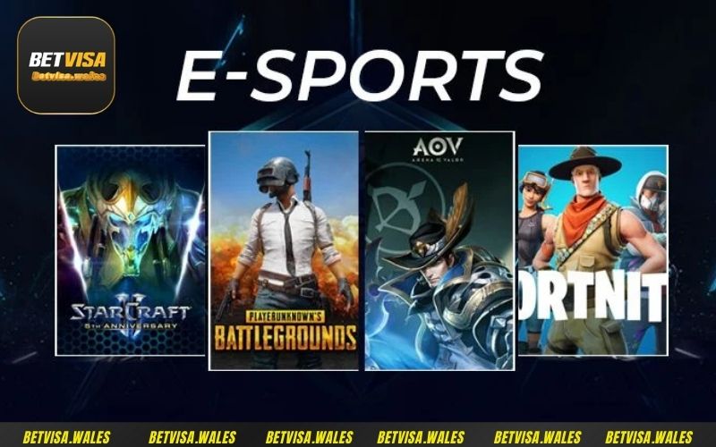 Betvisa nổi tiếng là nhà cái trả thưởng nhất nhì thị trường Esport